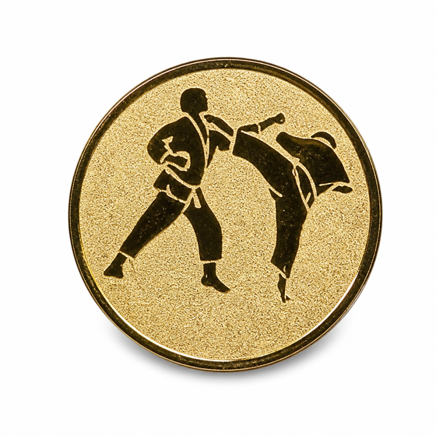 Emblém 17 karate